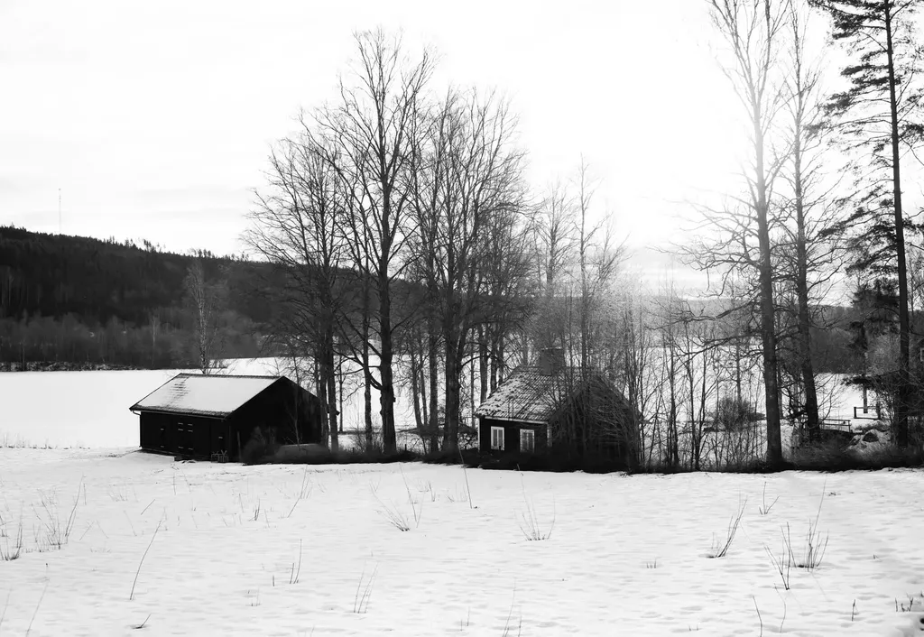 Black and white winter scene with snow, trees, and cabins beside a frozen lake.