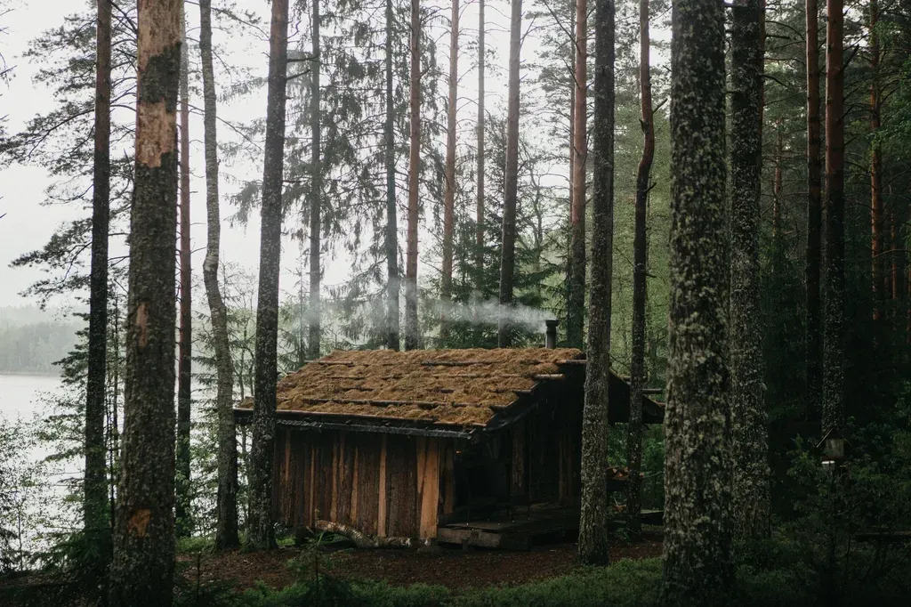 Cozy wooden cabin surrounded by tall trees near a serene lake in a lush forest setting.