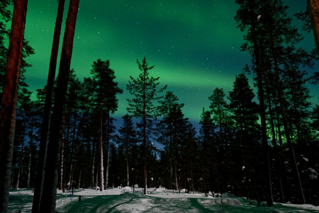 lapland-aurora.jpg